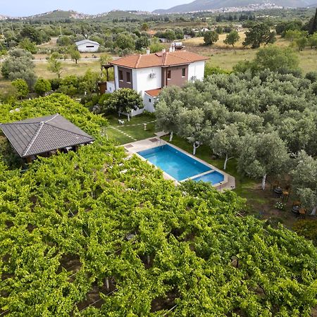Grape Datca Hotell Kızlanköy Exteriör bild