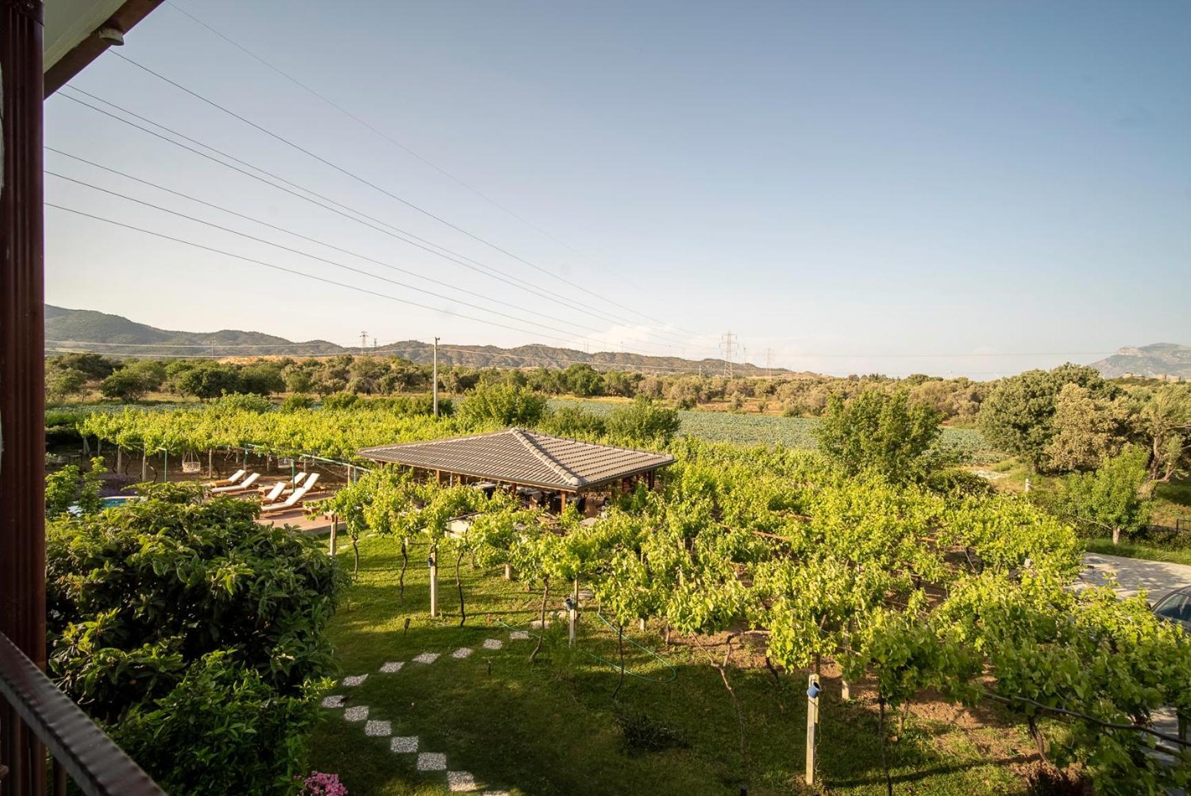 Grape Datca Hotell Kızlanköy Exteriör bild