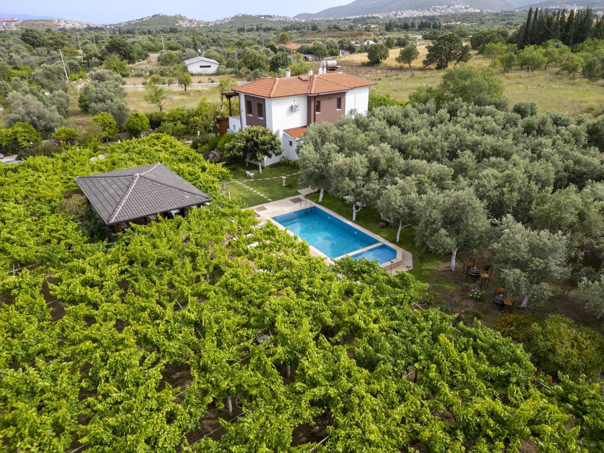 Grape Datca Hotell Kızlanköy Exteriör bild