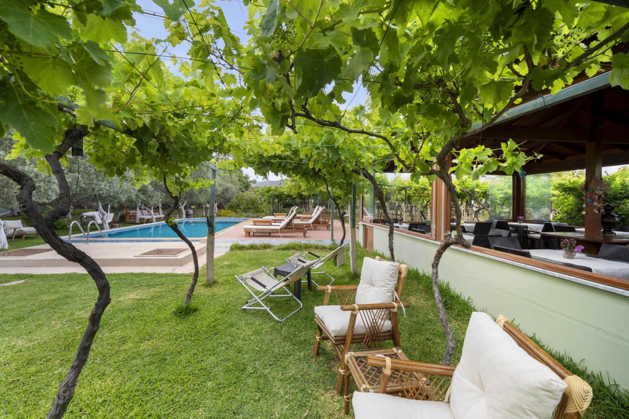 Grape Datca Hotell Kızlanköy Exteriör bild